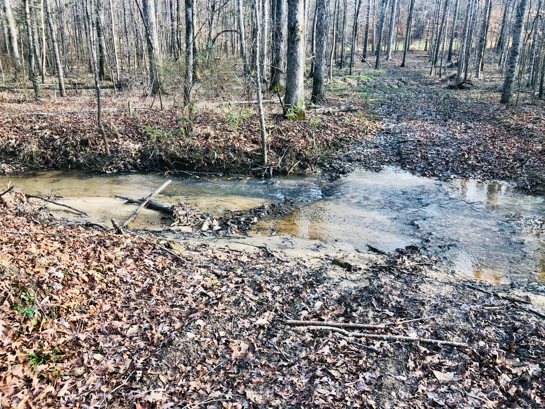 Wetlands Reserve Easements Wetlands Reserve Easements