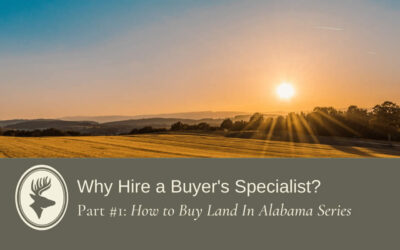 Why Hire A Buyer’s Specialist?
