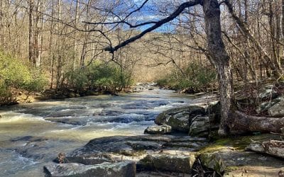 Jack’s Creek Tract